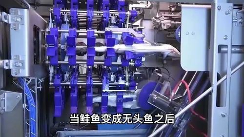 国外鲑鱼加工厂 从鱼子去取与受精到鱼肉产品的全自动加工线